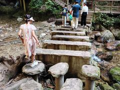 -牛背梁国家森林公园