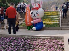 -杭州少年儿童公园