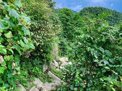 -九峰山