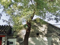 -北京国子监胡同