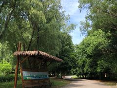 -梁鸿国家湿地公园