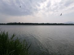 -怀来官厅水库