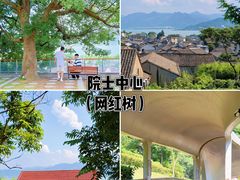 -东钱湖旅游度假区