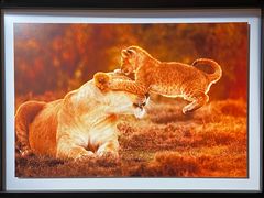 -罗红摄影艺术馆