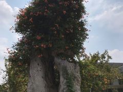 -南通洲际绿博园