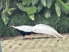 -福建鲤鱼洲酒店