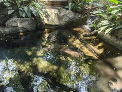 -青青世界