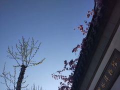 -裕兴记·三虾面(西北街总店)
