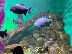-常州海昌海洋探索馆