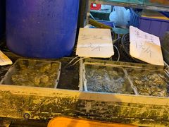 -黄沙水产交易市场