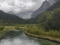 -稻城亚丁景区-冲古草甸