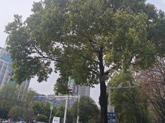 -徐记三鲜面馆(咸宁市体育中心店)