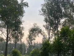-东郊湿地公园