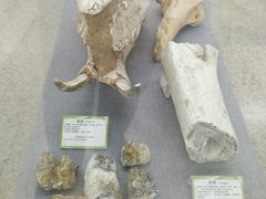 -北京中医药大学-中医药博物馆
