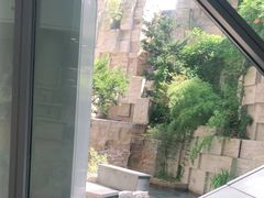 -自然博物馆新馆2楼餐厅