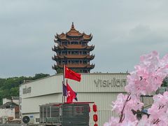 -老宅藕香·湖北菜·非遗藕汤·武昌鱼(黄鹤楼景观店)