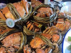 -黄桷树老店黄鲶鱼鱼庄