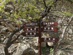 -妙峰山风景名胜区