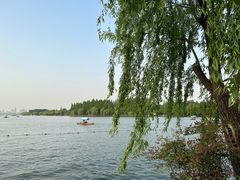 -浙江西子宾馆·牡丹厅