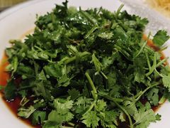 -丁老爷子苏香圆