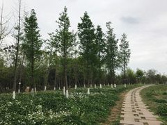 -白鹭湾湿地公园