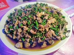 -铁山坪森林公园