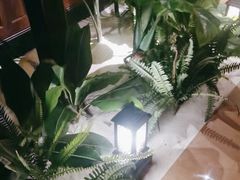 -紫莲花足道(柯桥古镇店)