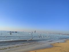 -老虎石海上公园