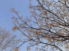 -汉长安城未央宫国家考古遗址公园