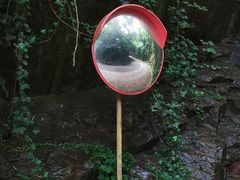 -上海佘山国家森林公园西佘山园