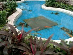 -广州市第一人民医院(院本部)