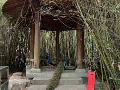 -宁波杭州湾国家湿地公园