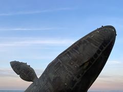 -烟台金沙滩海滨公园