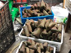 -金太粽(上海弄堂第一粽店)