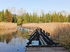 -溱湖国家湿地公园