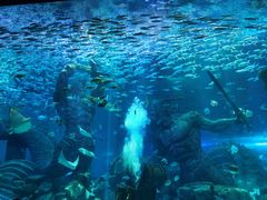 -瑞幸咖啡(凯德MALL大兴店)