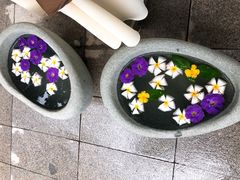 -100蛋泥浆浴