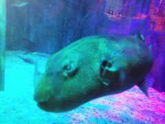 -沈阳海洋探索中心