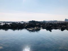 -海合安青岛极地海洋公园