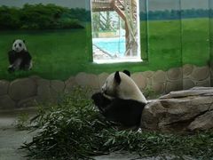 -临沂动植物园