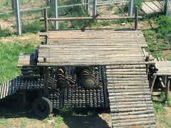 -青藏高原野生动物园