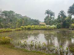 -中国科学院西双版纳热带植物园