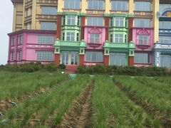 -广州花之恋城堡酒店
