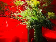 -星·South Beauty·俏江南(国贸店)