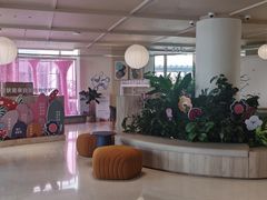 -观心实验室·心理咨询(上海旗舰店)