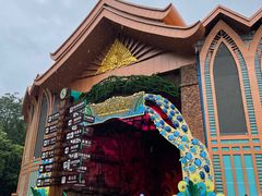 -西双版纳原始森林公园