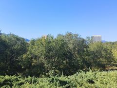 -滨河世纪广场公园