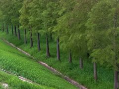 -南汇嘴观海公园