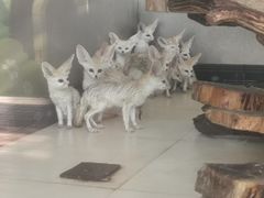 -大连森林动物园