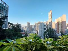 -香港大学